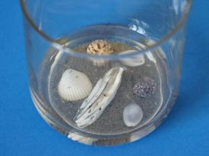 Inclusion avec de la résine transparente