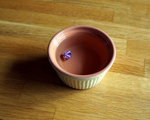 L'objet à cuire dout être suffisamment immergé dans l'eau