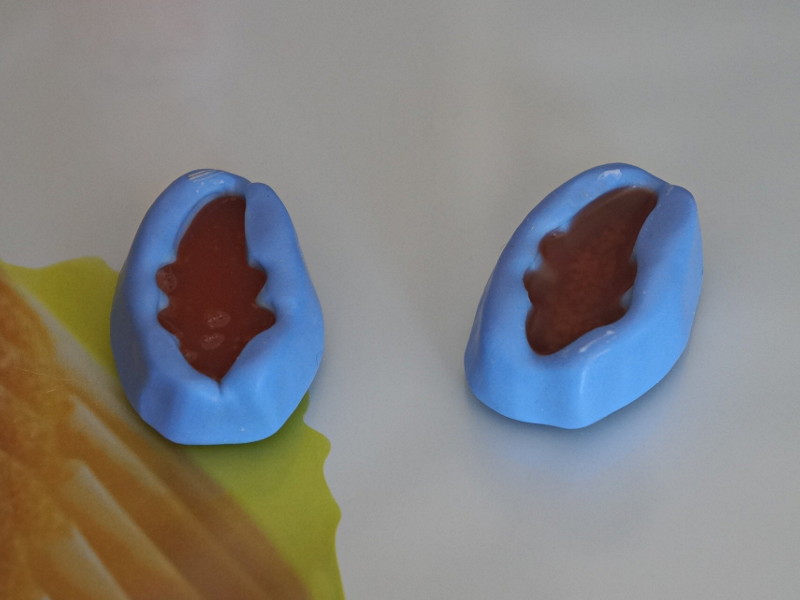 Moules Fimo prêts à cuire